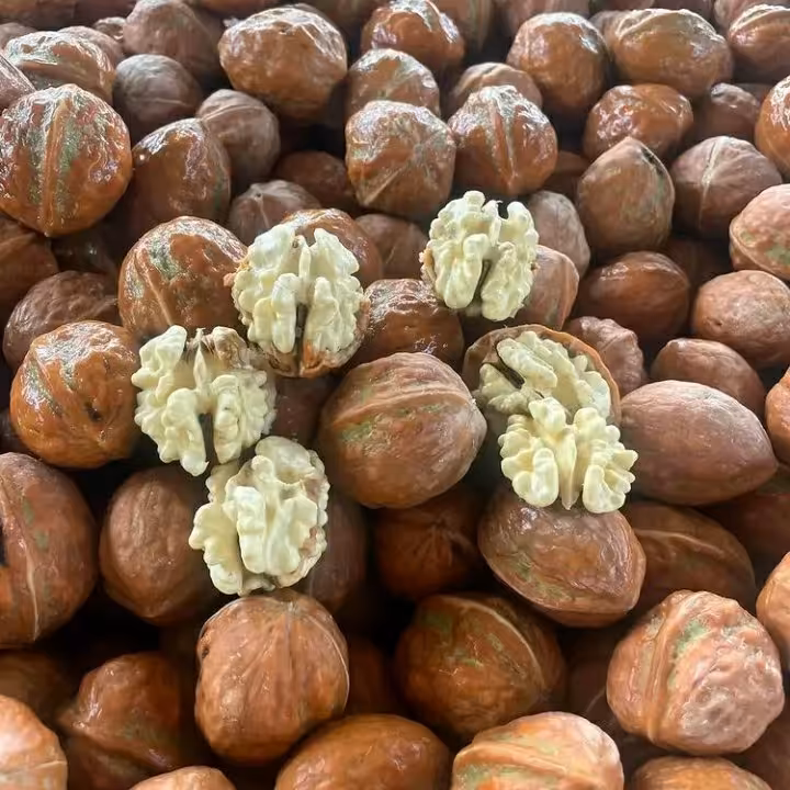 گردو تازه و تر  چهار کیلویی