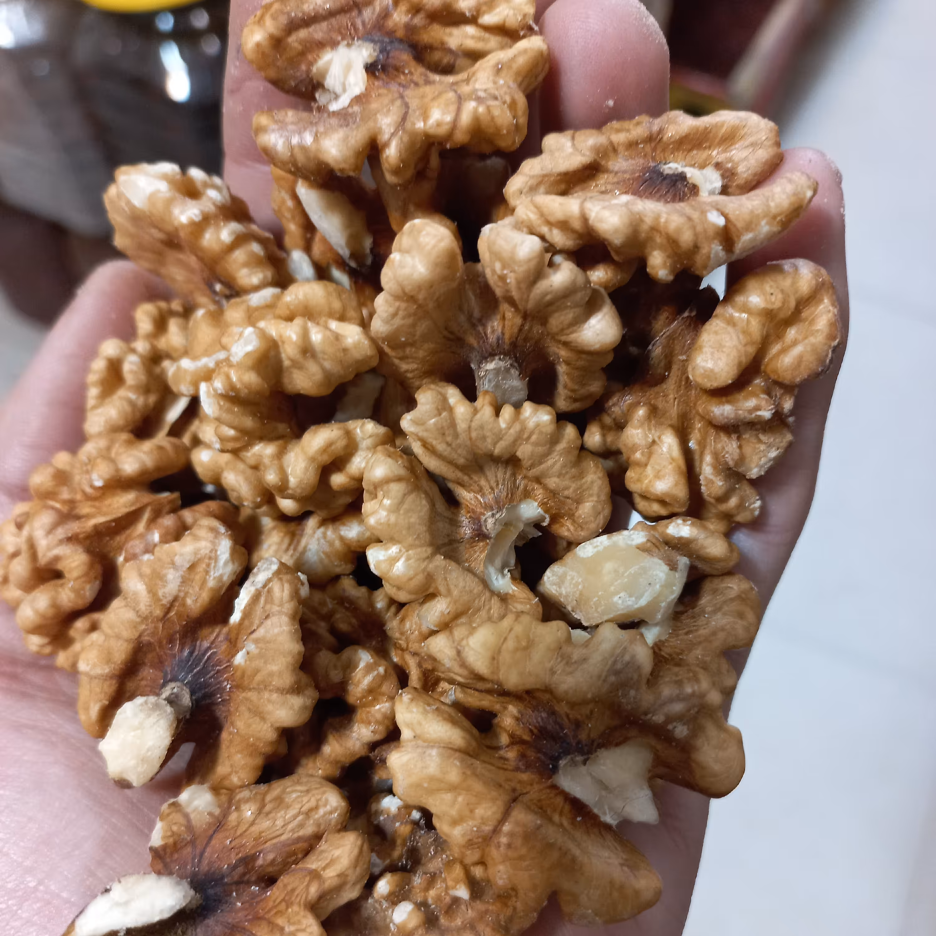 مغز گردو سوپر لوکس امسالی سفید پرچرب عمده 5کیلویی