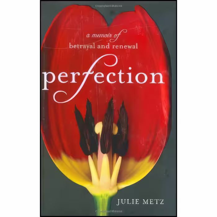کتاب زبان اصلی Perfection اثر Julie Metz