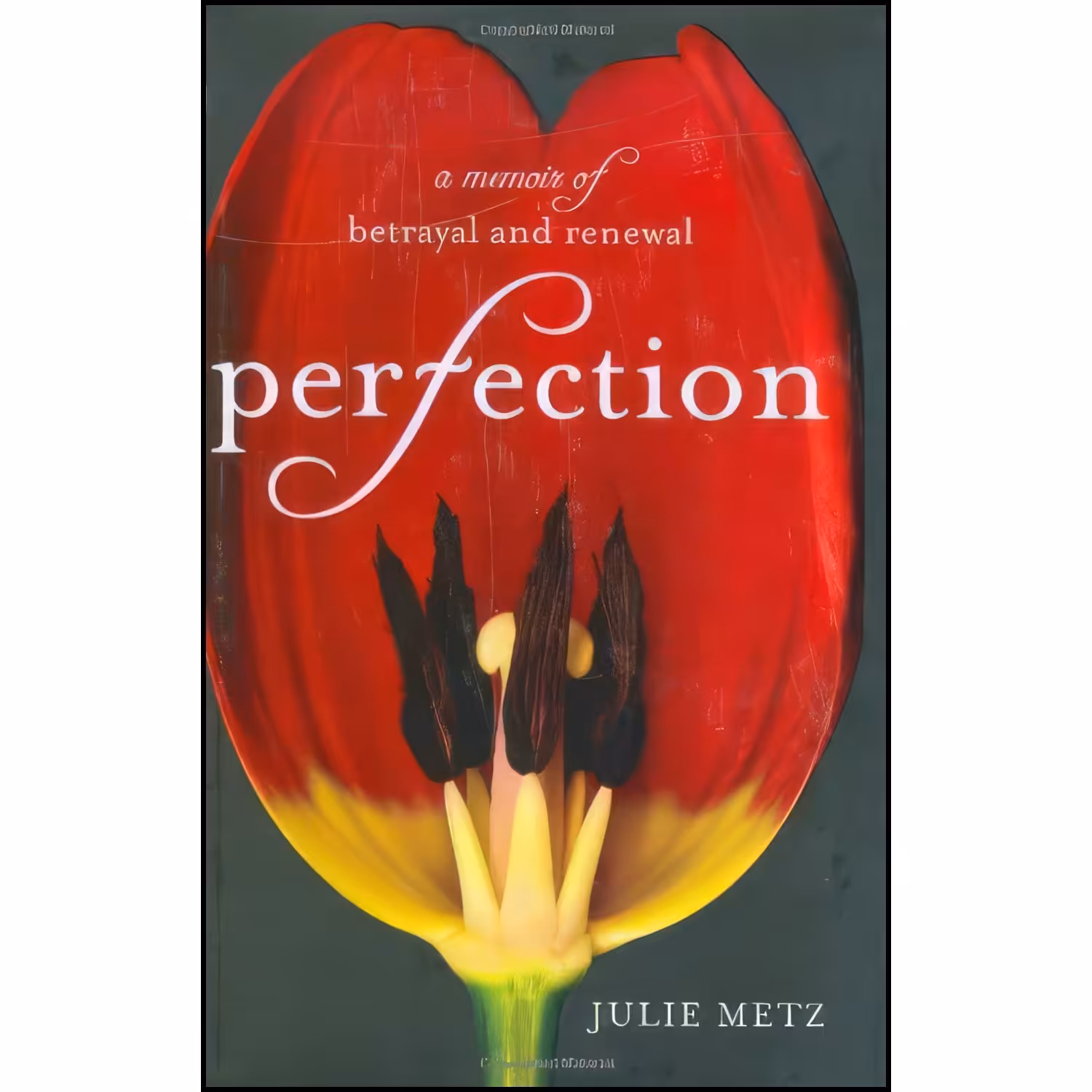 کتاب زبان اصلی Perfection اثر Julie Metz