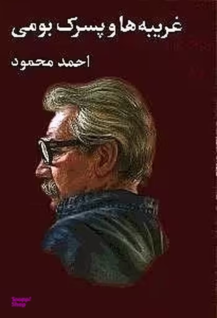 غریبه‌ها و پسرک بومی