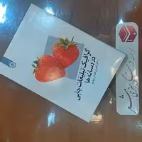 کتاب گرافیک تبلیغات چاپی در رسانه ها نویسنده دکتر کامران افشار مهاجر انتشارات سمت فروشگاه مشعر قم 