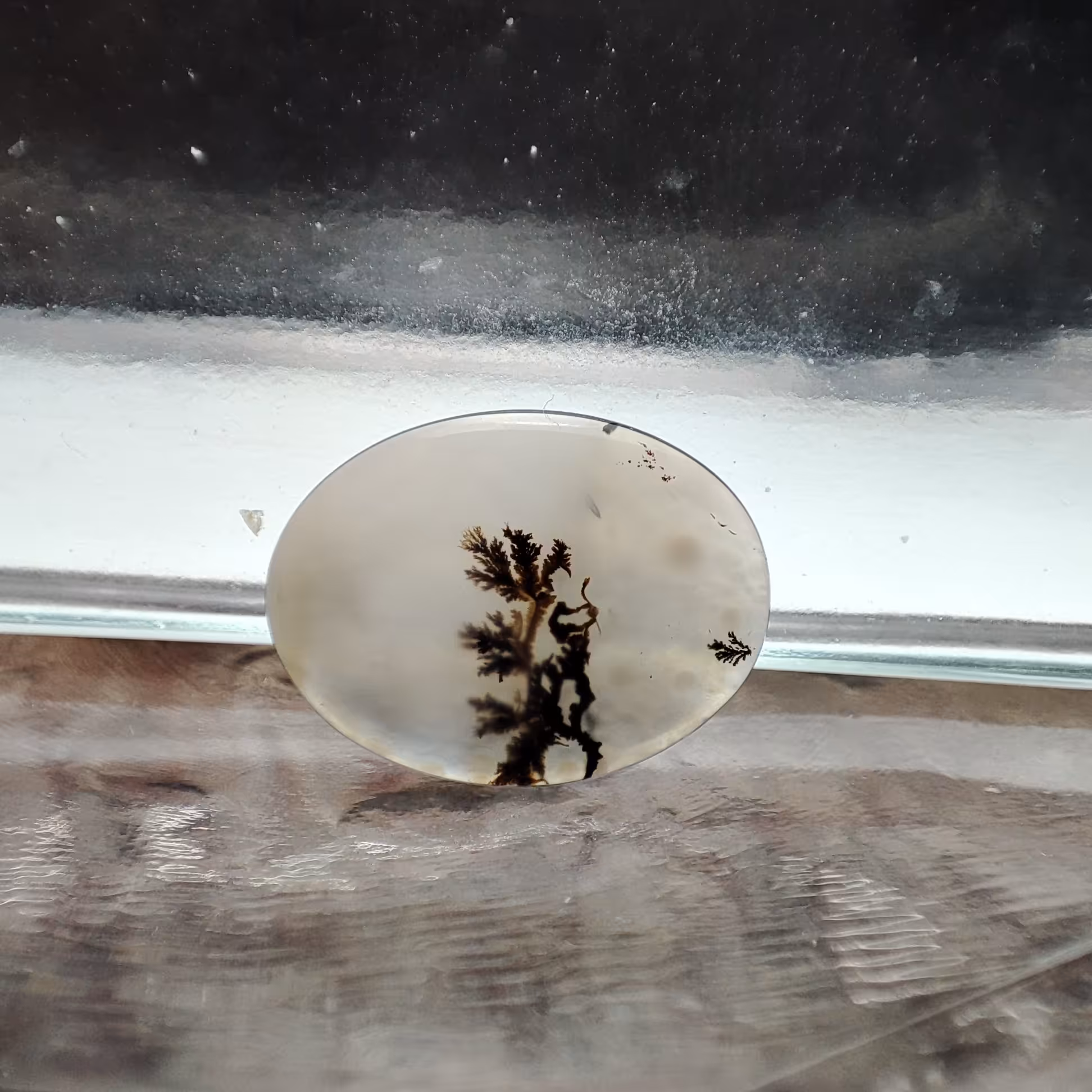 شجر قائن طبیعی و معدنی کد 528