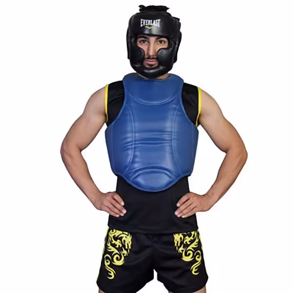 هوگو ووشو حرفه ای