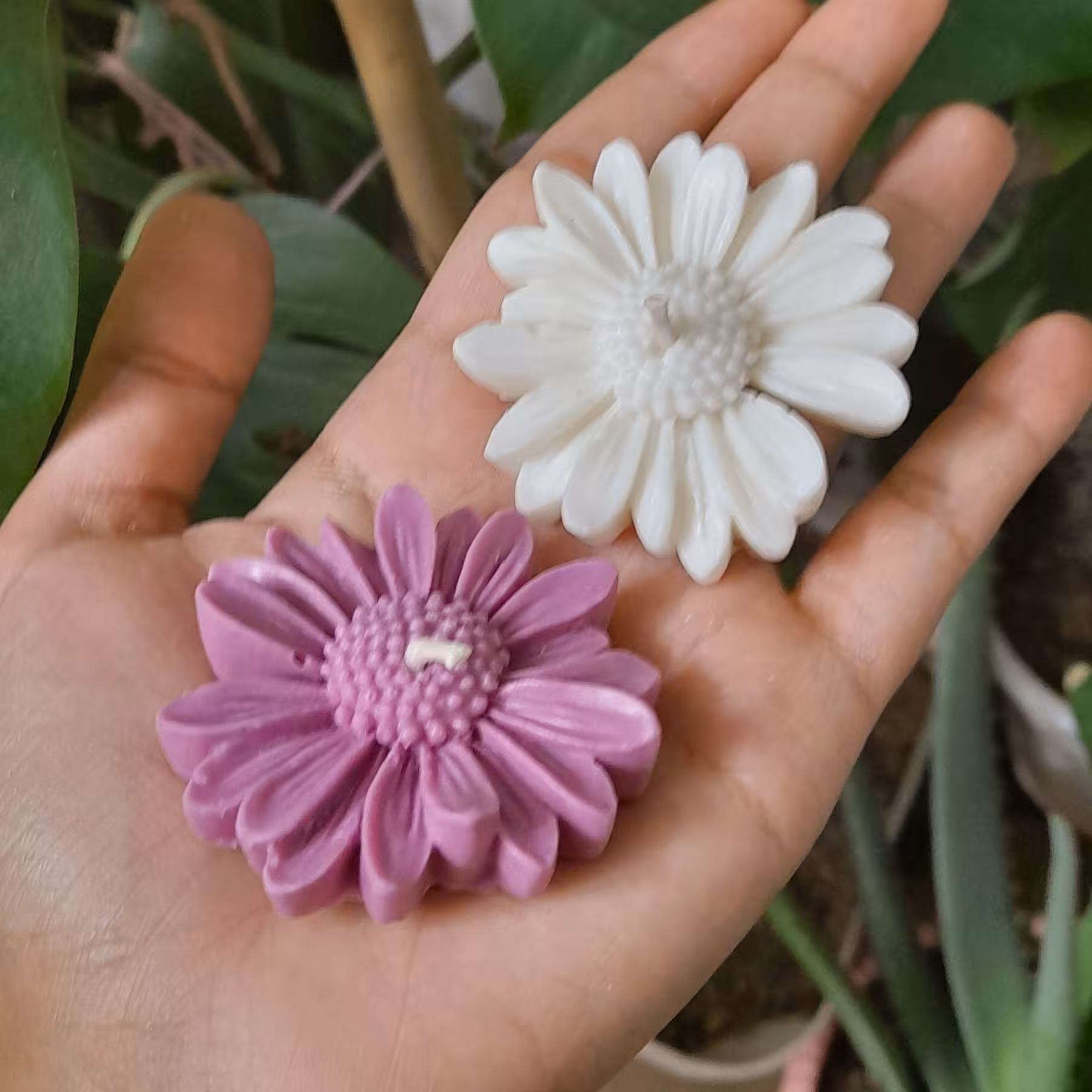 شمع گل عید در رنگ های بنفش و سفید 6 سانت