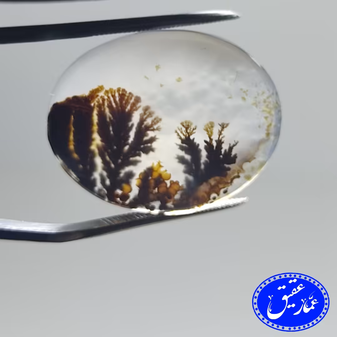 نگین عقیق شجر  قائن با طبع شیشه ای