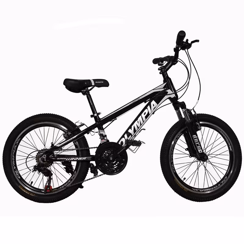 دوچرخه کوهستان المپیا مدل WINNER سایز 20