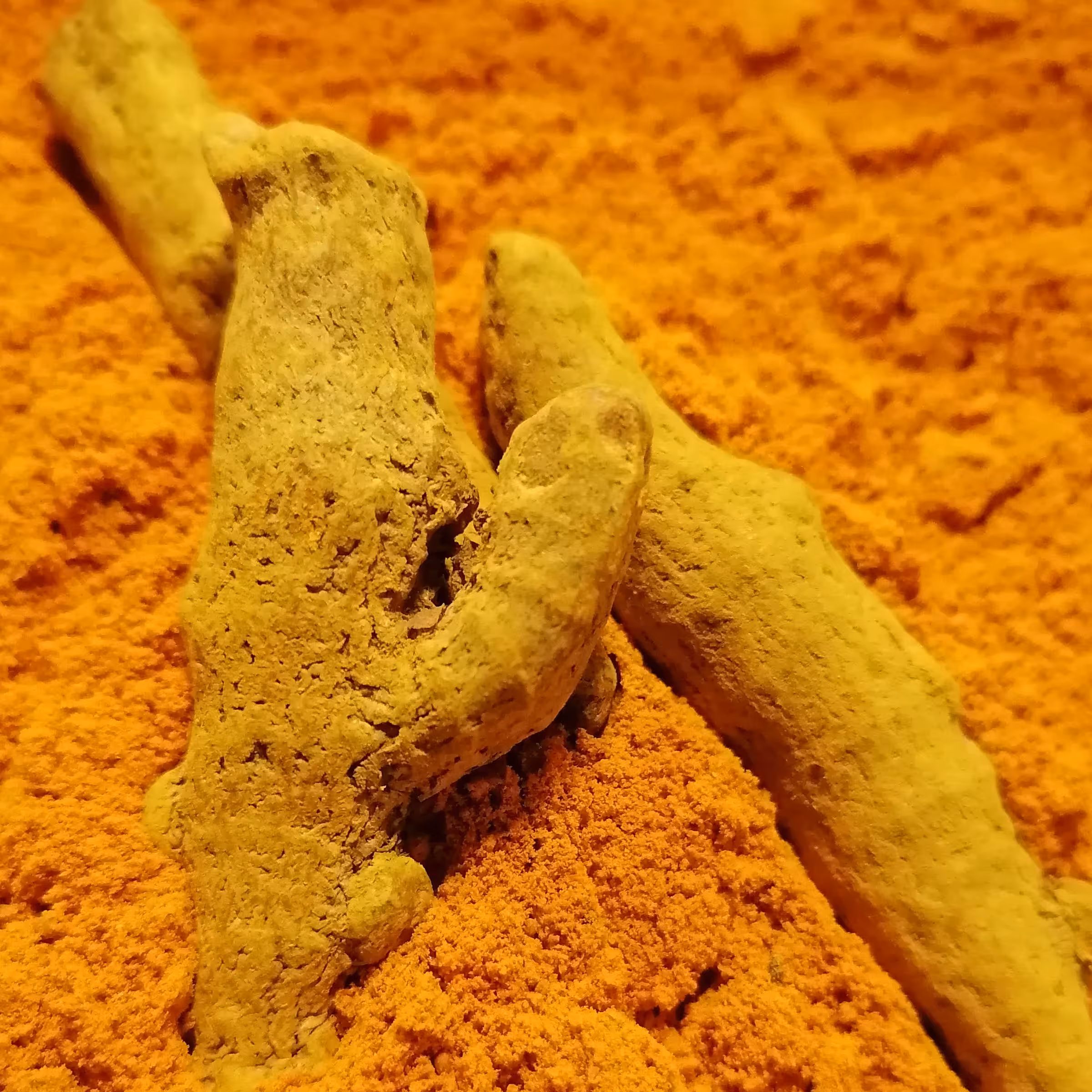 زردچوبه اعلا 