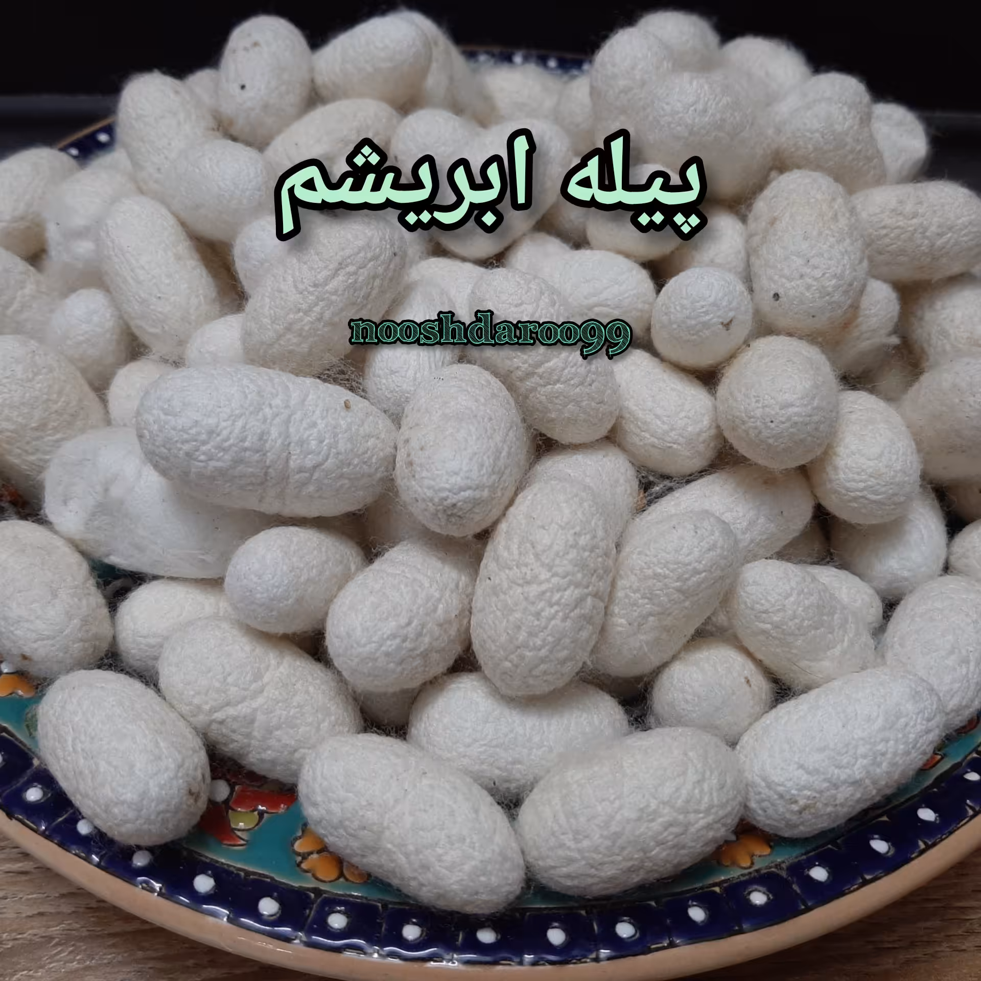 پیله ابریشم 100 گرمی