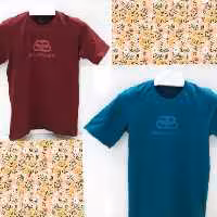 تیشرت بالانسیاگا مردانه
