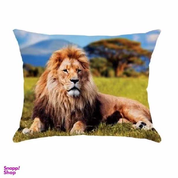 کاور کوسن مدل C2-10850 چند رنگ سایز 33*47 سانتی متر