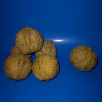 گردو دماوند 