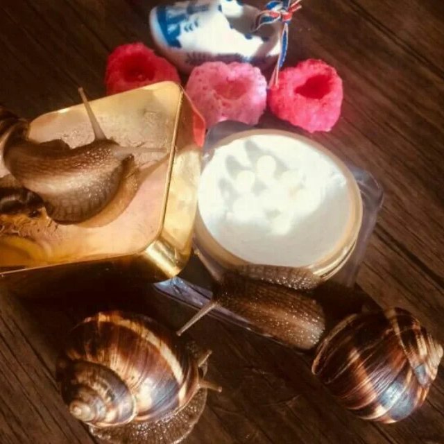 کرم خاویار اصل گیاهی