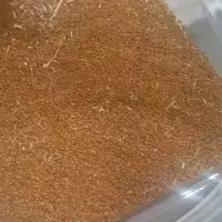 خاکشیر خوانسار