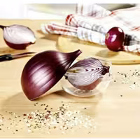 ظرف پیاز لوکس کد 1357