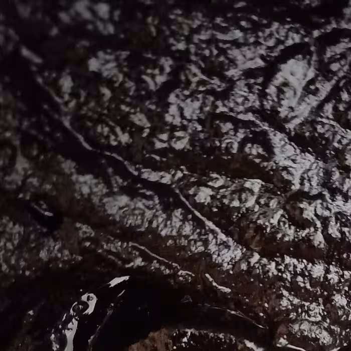 رب انار پارساله ترش (2200گرمی)