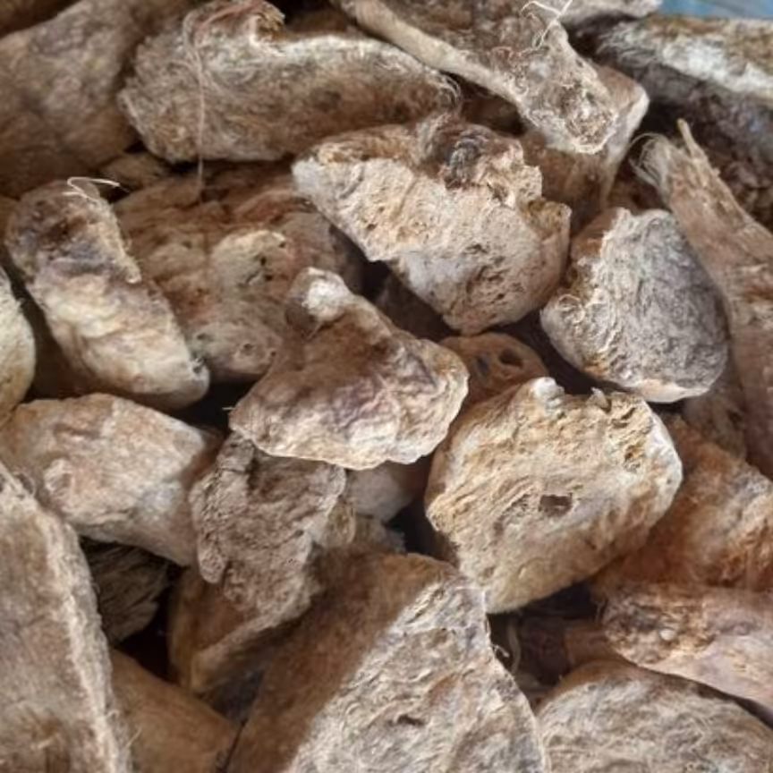 گیاه کامی ریشه کامی ریشه بدره گیاه بدره 75 گرم 