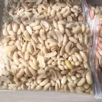 لوبیا  کشاورزی تازه