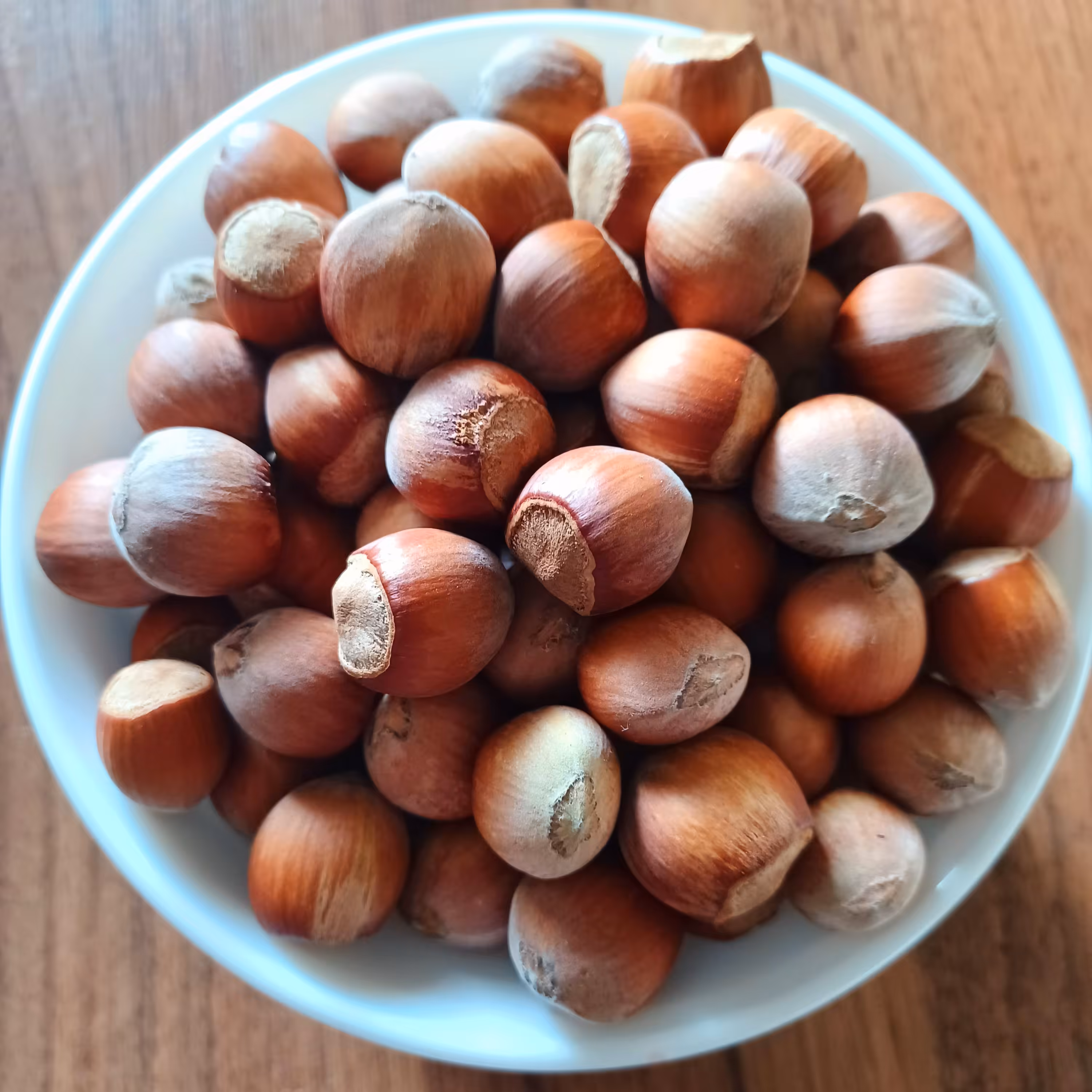 فندق خام با پوست ( بسته )قزوین کاملا خشک و بدون  رطوبت  با وزن خالص 1800 گرم و ارسال رایگان به سراسر ایران 