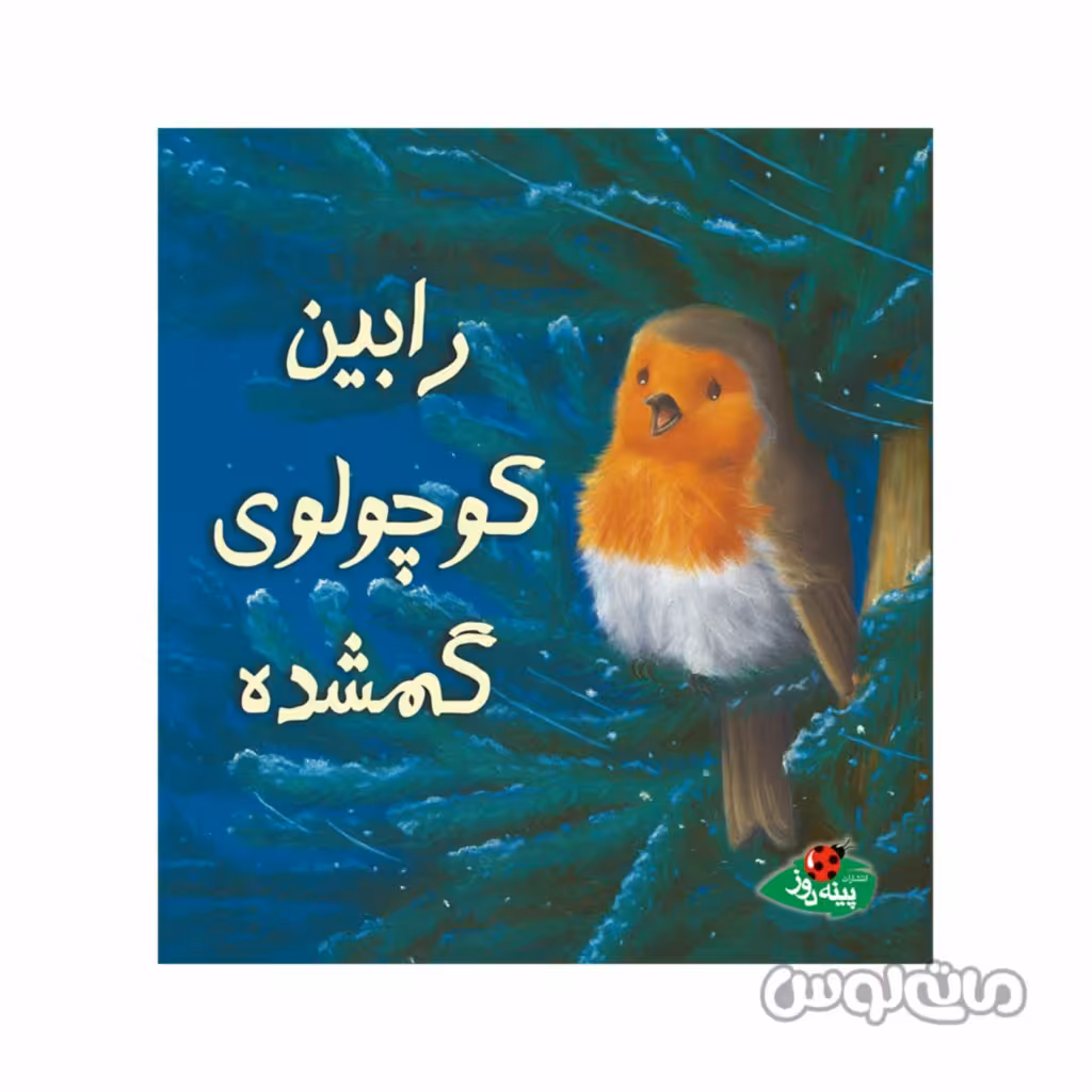 کتاب رابین کوچولو گمشده پینه دوز

