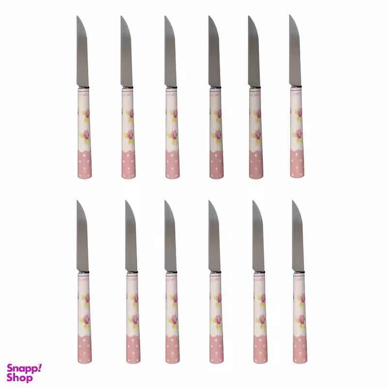 کارد میوه خوری دی ام جی مدل SELMA-T بسته 12 عددی