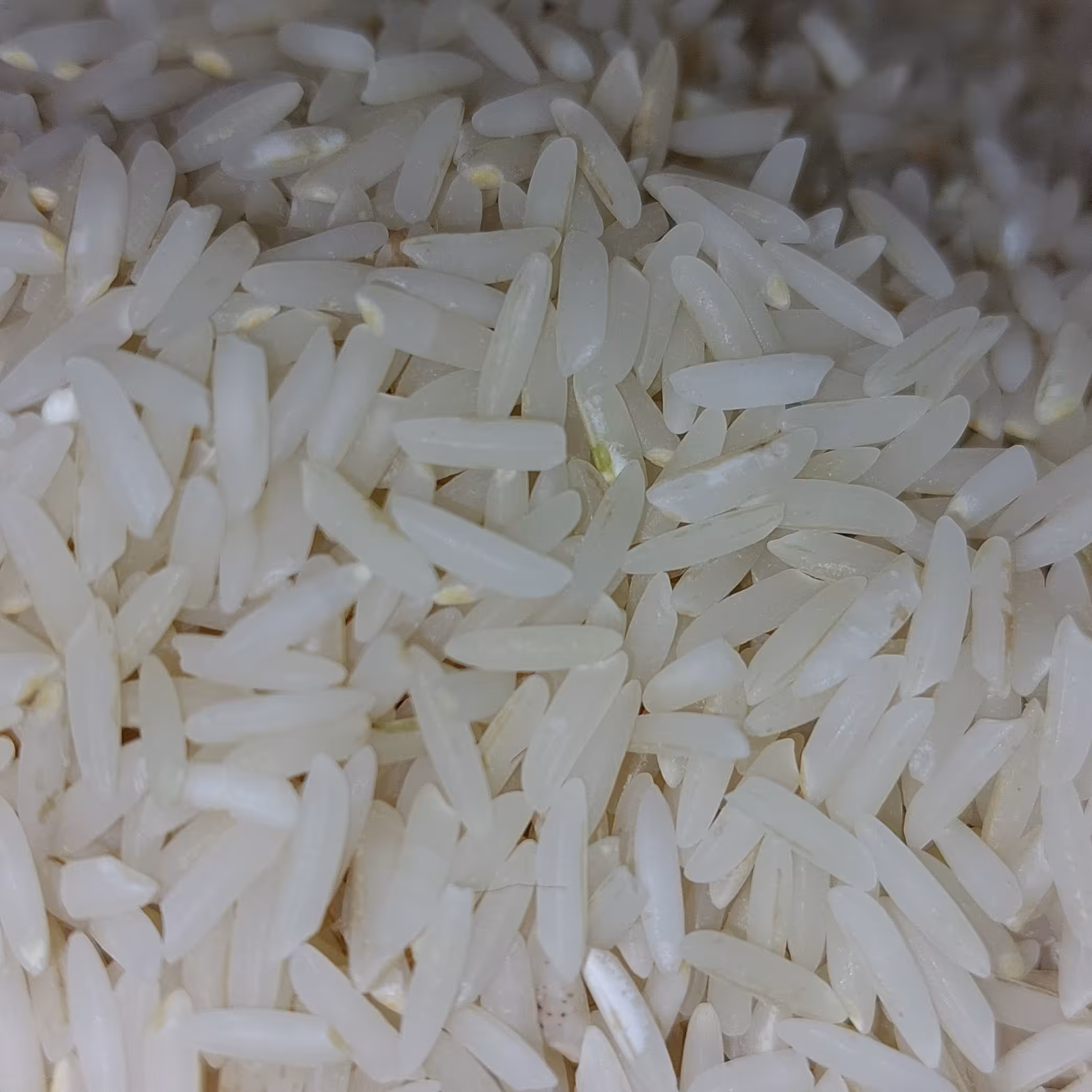 برنج دمسیاه معطر