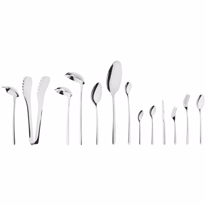 سرویس قاشق و چنگال 106 پارچه ام جی اس مدل df005