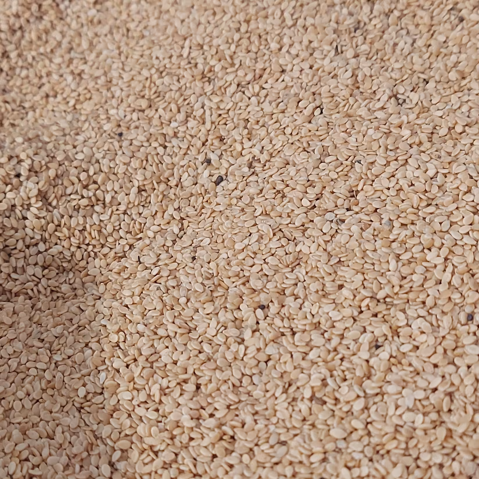 کنجد  یک کیلویی(پس کرایه)