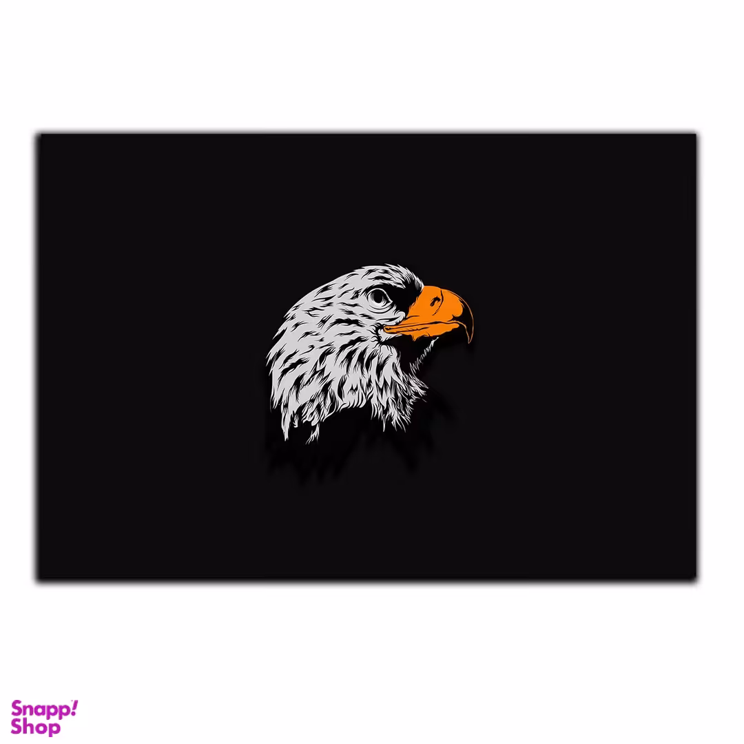 تابلو شاسی بکلیت طرح گرافیکی عقاب مدل SH-S5441