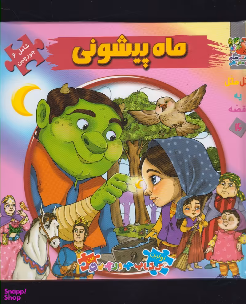 کتاب پازلی ماه پیشونی اثر مهدی مردانی انتشارات سایه گستر