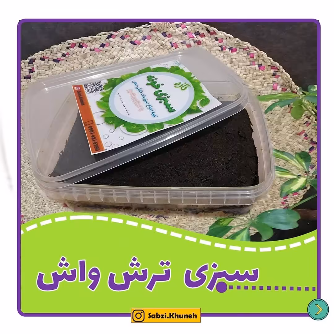 سبزی ترش واش