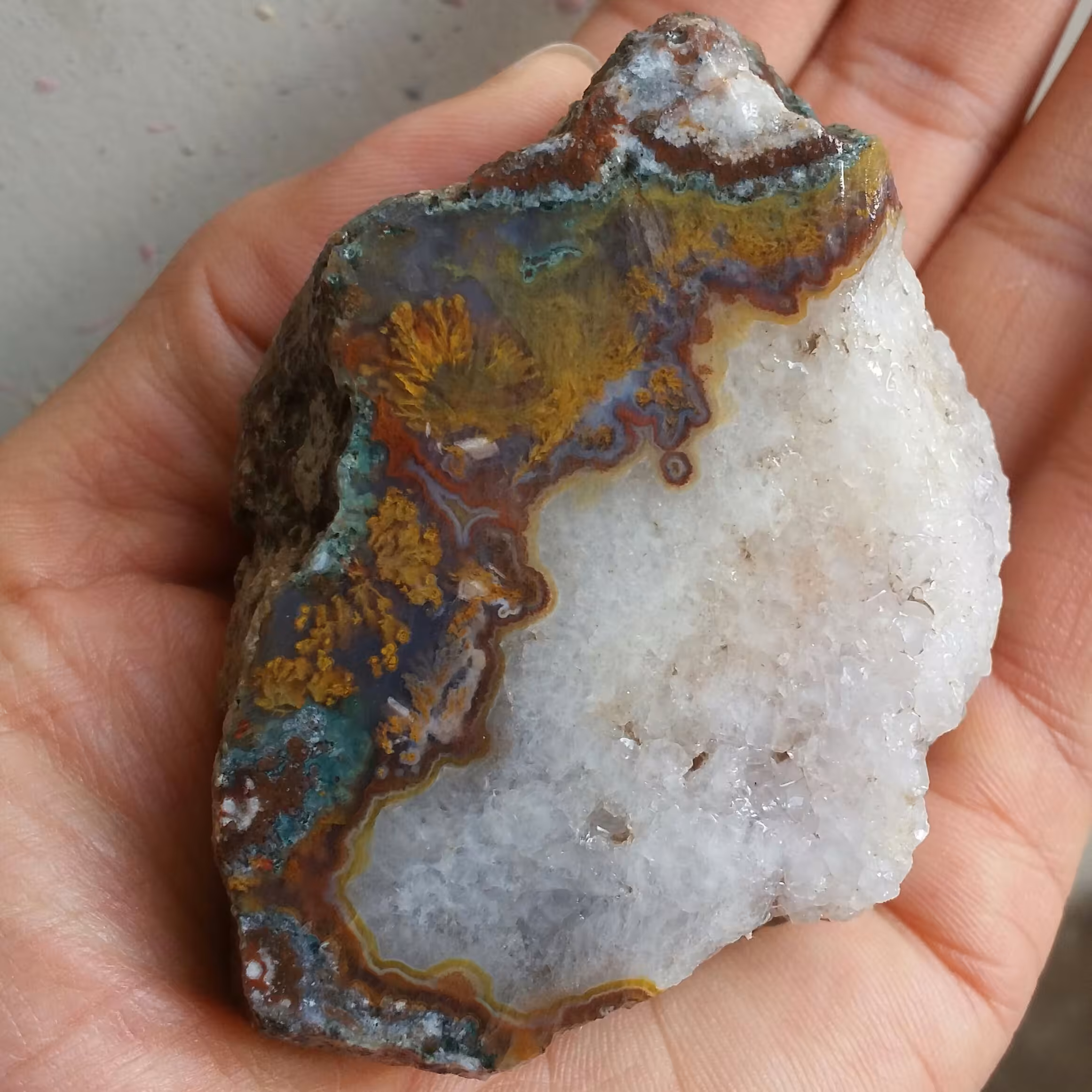 اسلایس سنگ راف شجر دریایی 7رنگ به همراه ژئود محشر شااهکار خلقت دیدنی کاملا طبیعی
نمونه ای فوق کلکسیونی بینظیییر