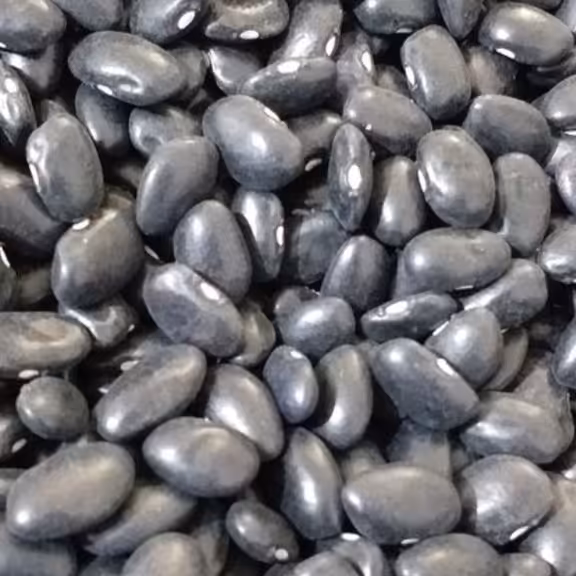 لوبیا سیاه ارسال رایگان فوق اعلا  20 کیوگرم دستچین خمین جهت بسته بندی و مشاغل خانگی 