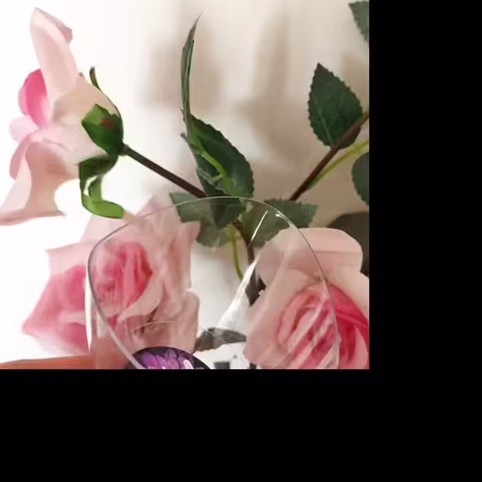 جام ژله پایه دار گرد بسته 10 عددی