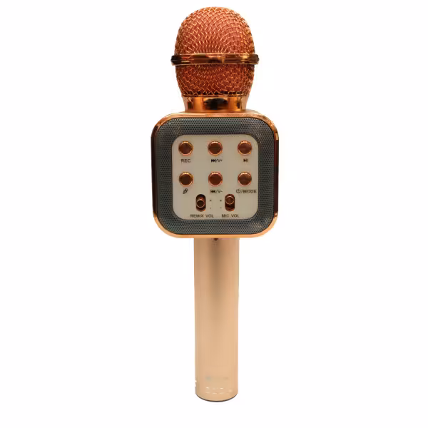 میکروفون اسپیکر پرووان مدل PBM02