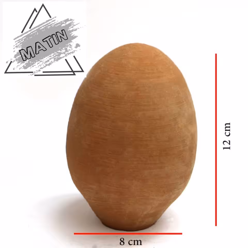 تخم شتر مرغ سفالی