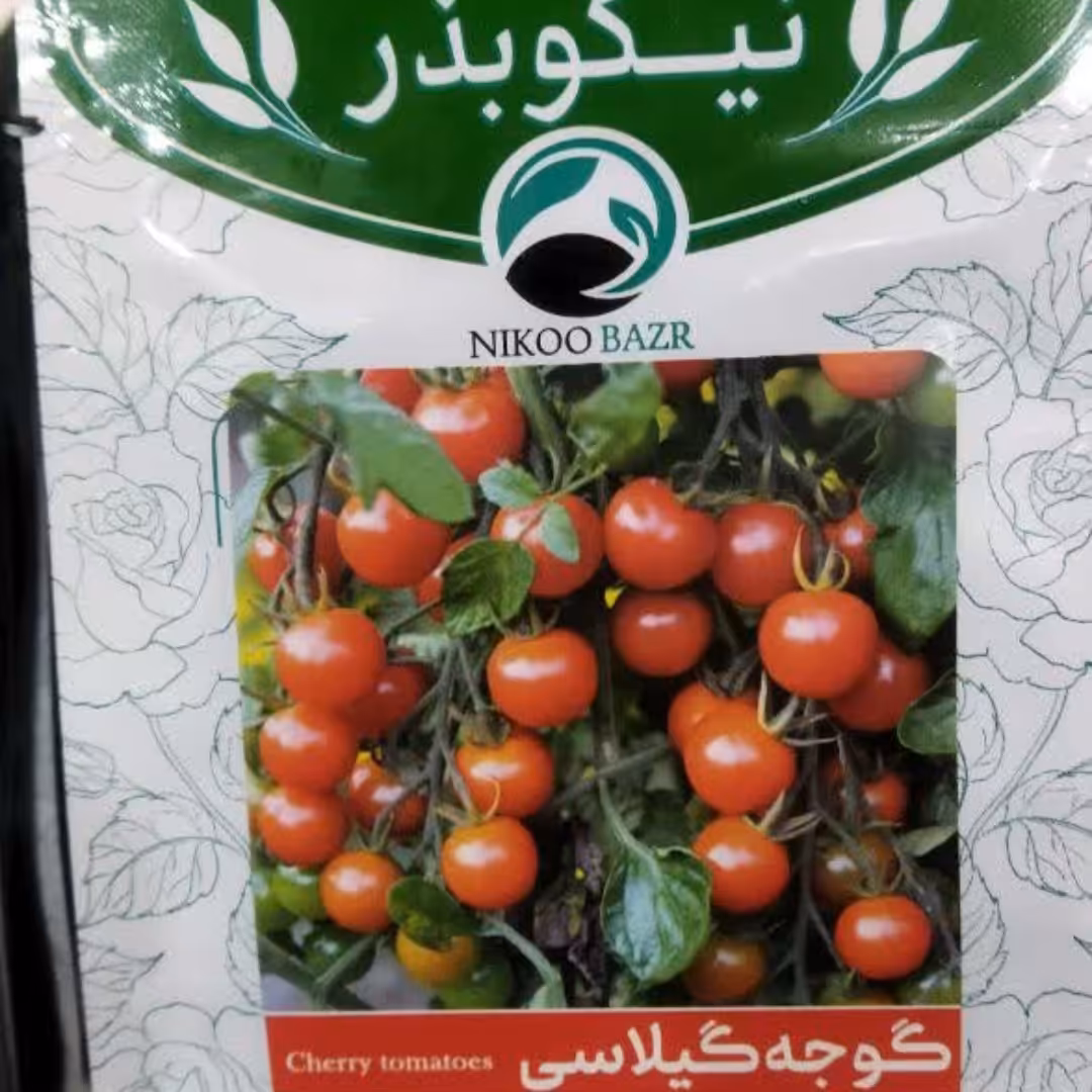 بذر گوجه گیلاسی