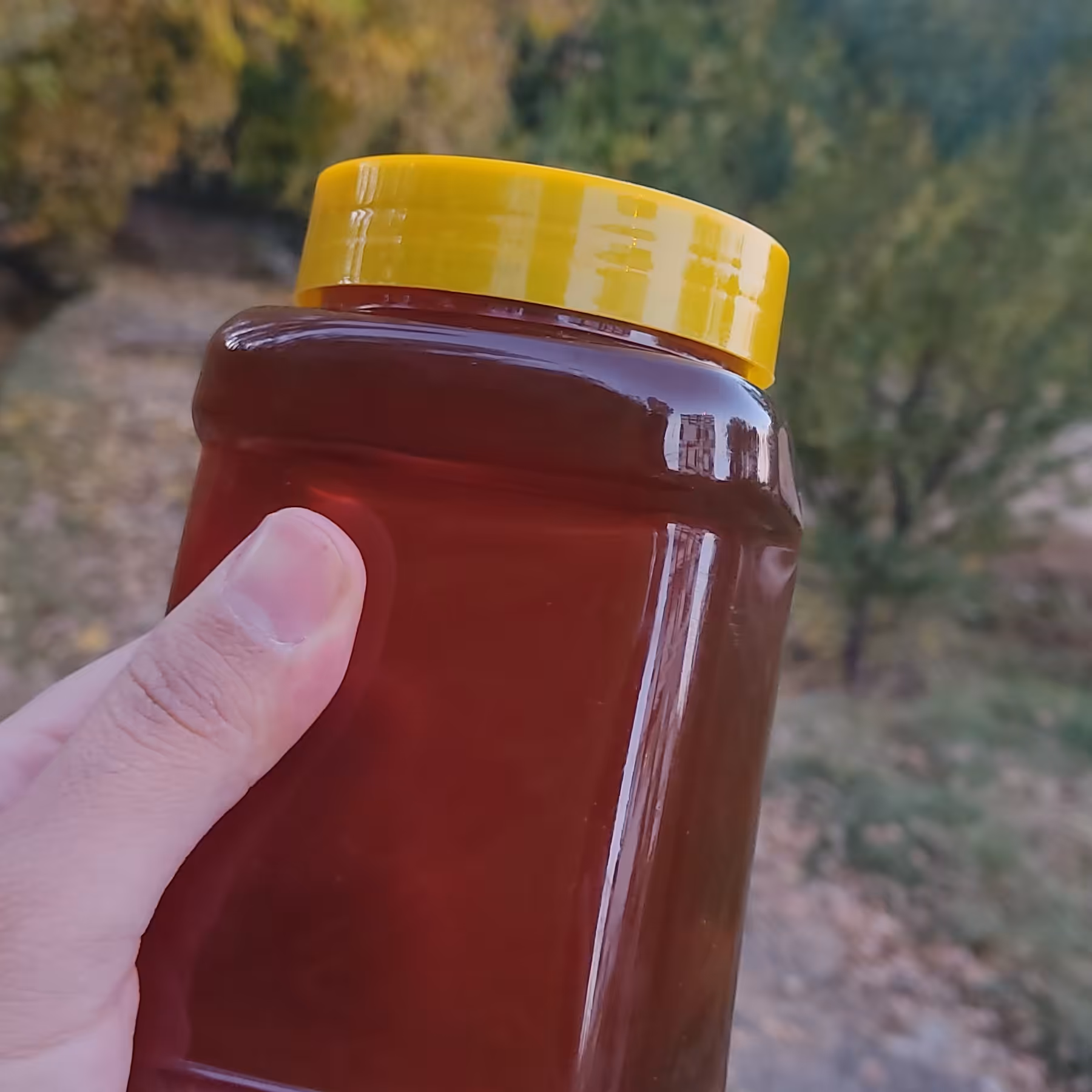 عسل سدر خوانسار