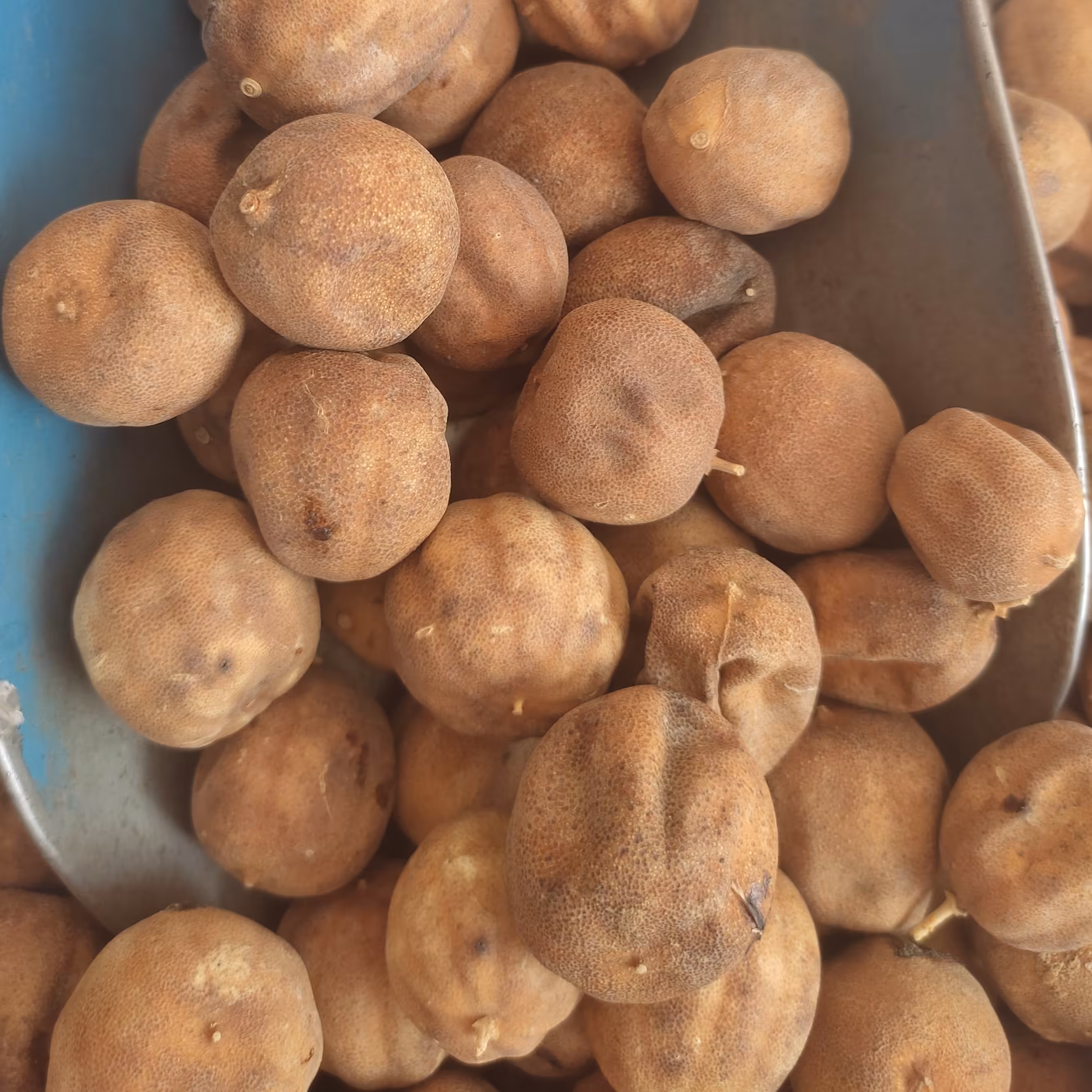 لیمو عمانی 5کیلویی درجه 1