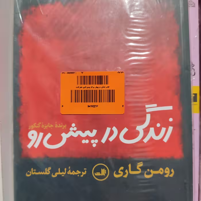 رمان زندگی در پیش رو نوشته رومن گاری ترجمه لیلی گلستان 