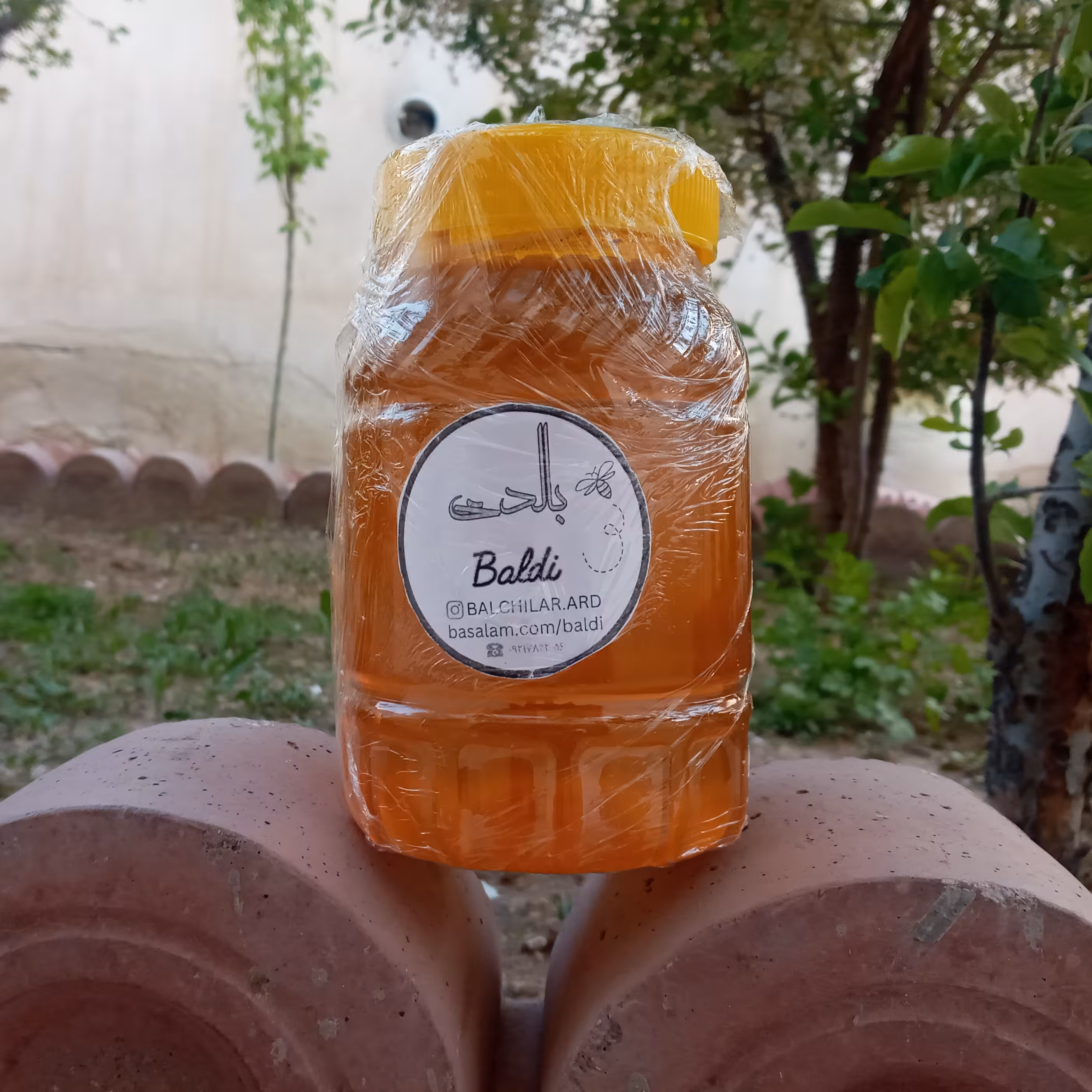 عسل گز انگبین پک دو عددی