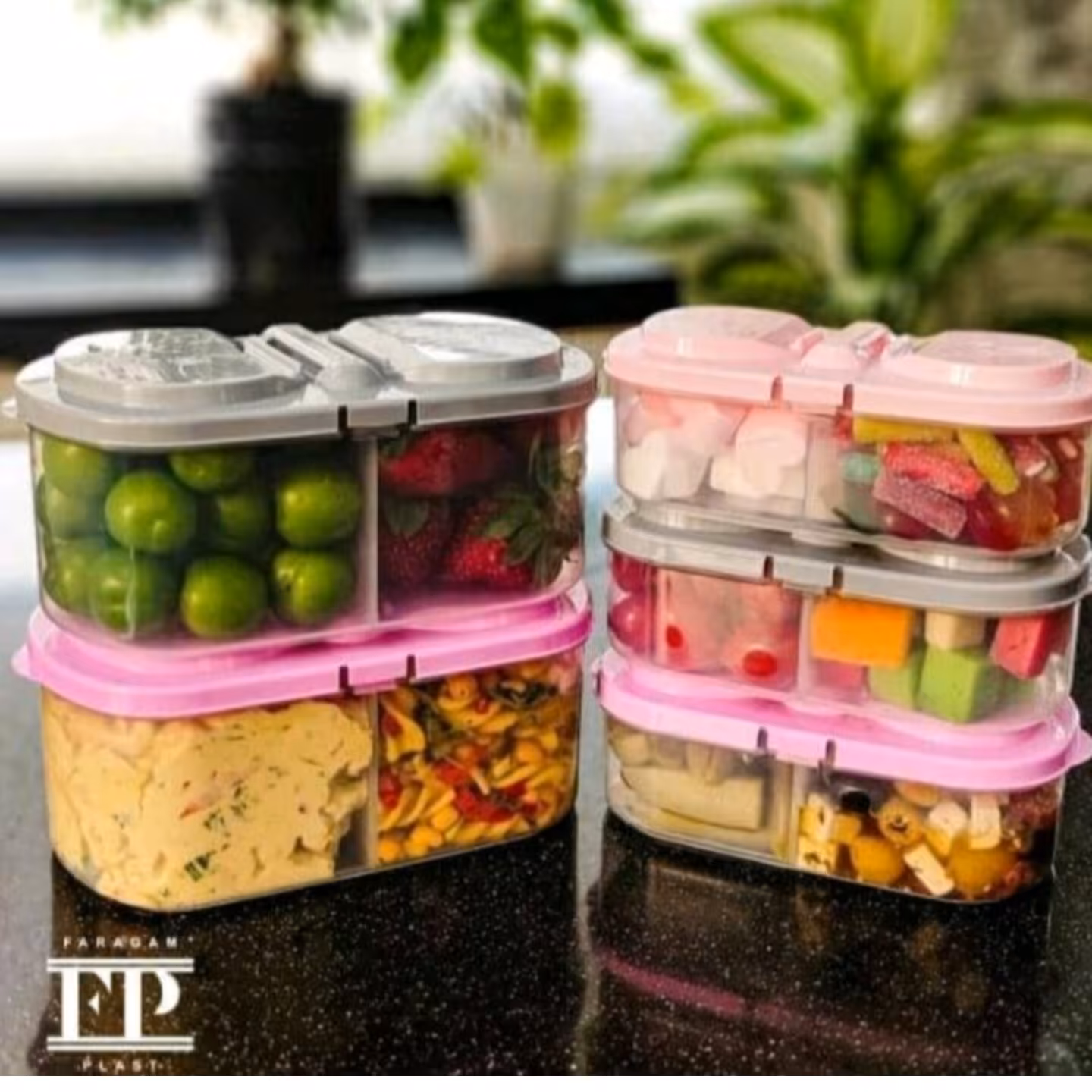 ظرف نگهدارنده دوقلو