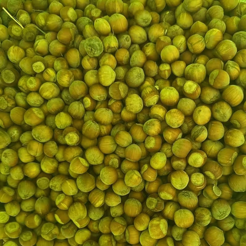 فندوق کهندان 