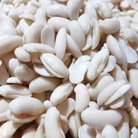 لوبیا کشاورزی(رشتی) پاک شده ( 1000 گرمی)