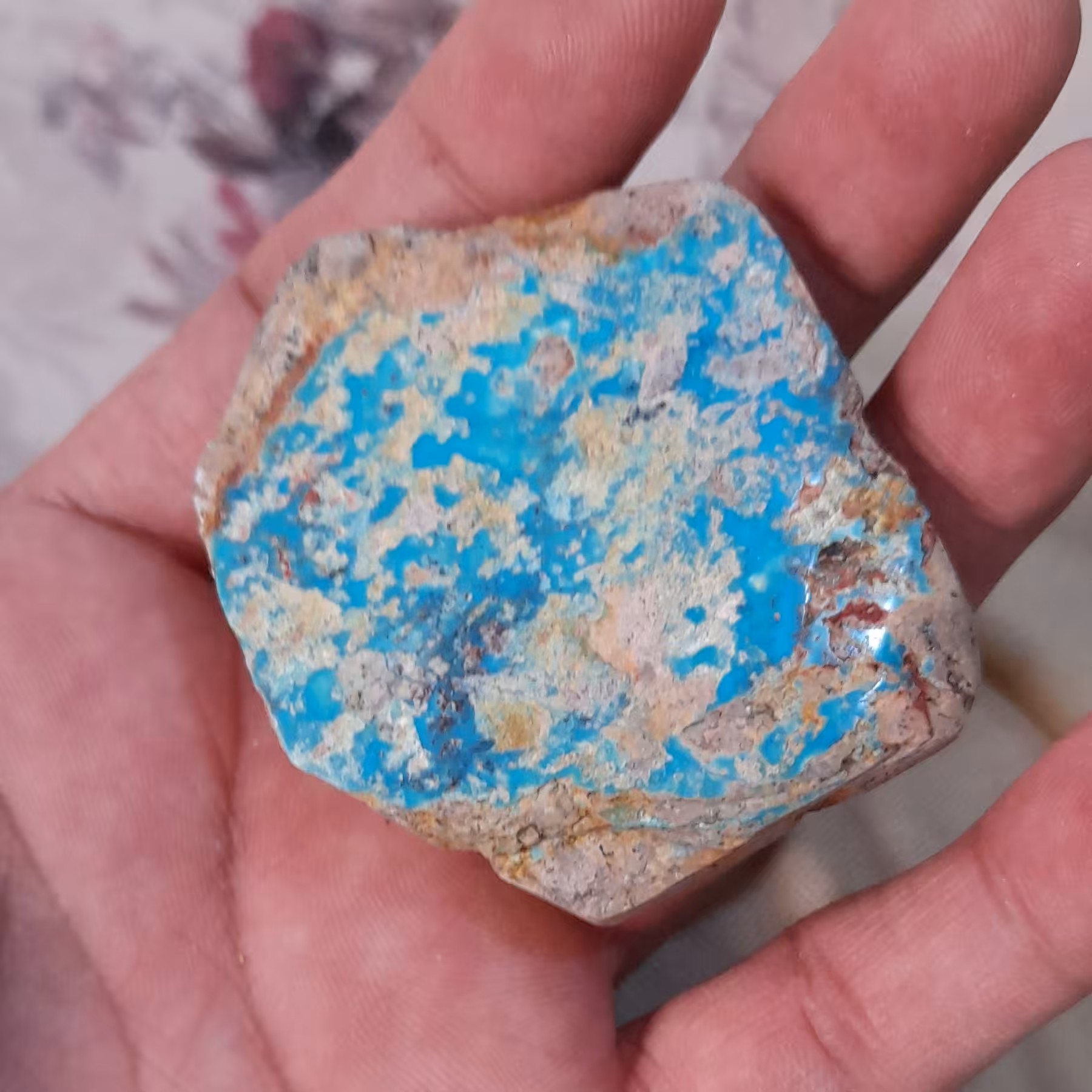 راف فیروزه اصل نیشابور