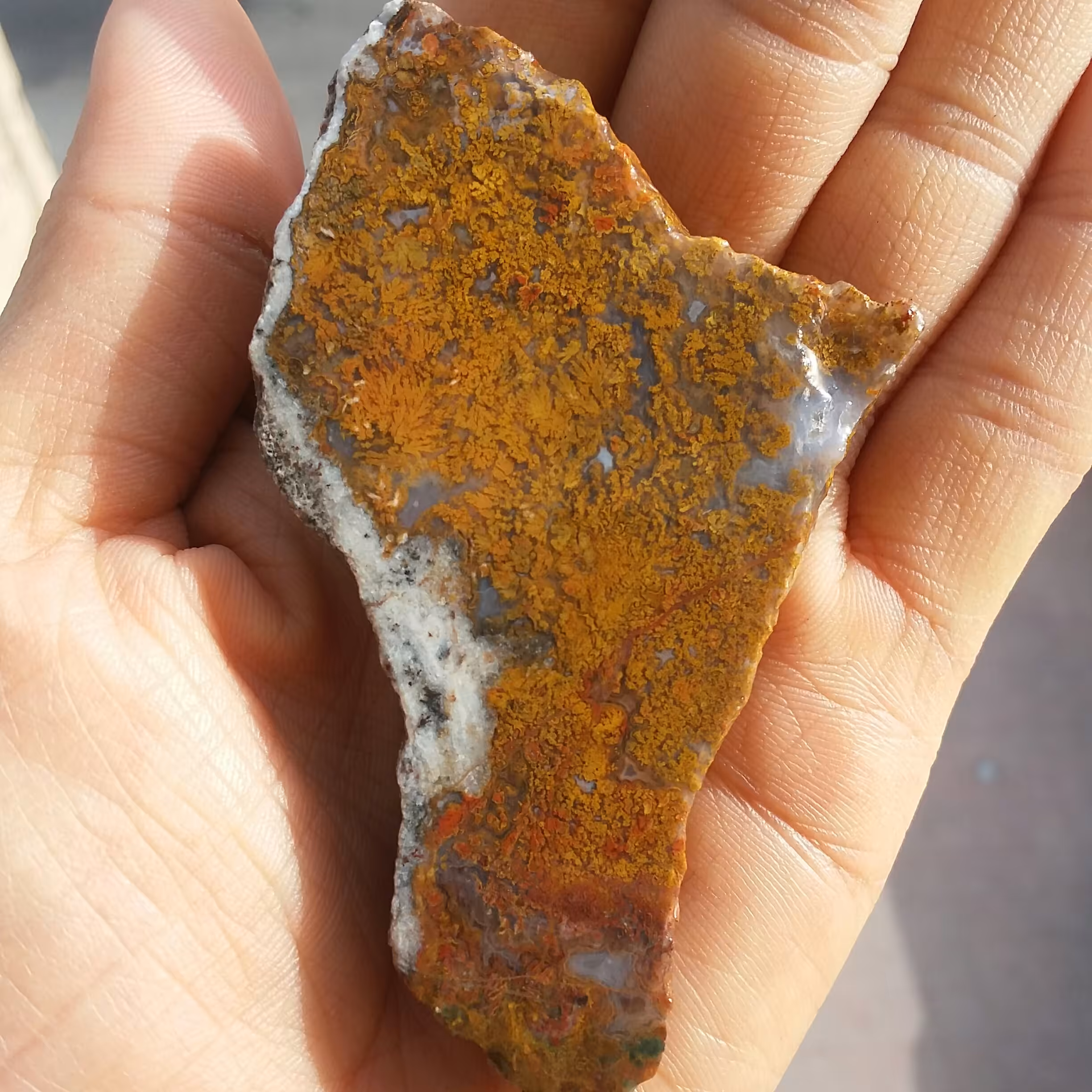 اسلایس سنگ راف شجر 7رنگ کمیاب محشرررر کاملا طبیعی
تابلو نقاشی طبیعی شاهکار خلقت