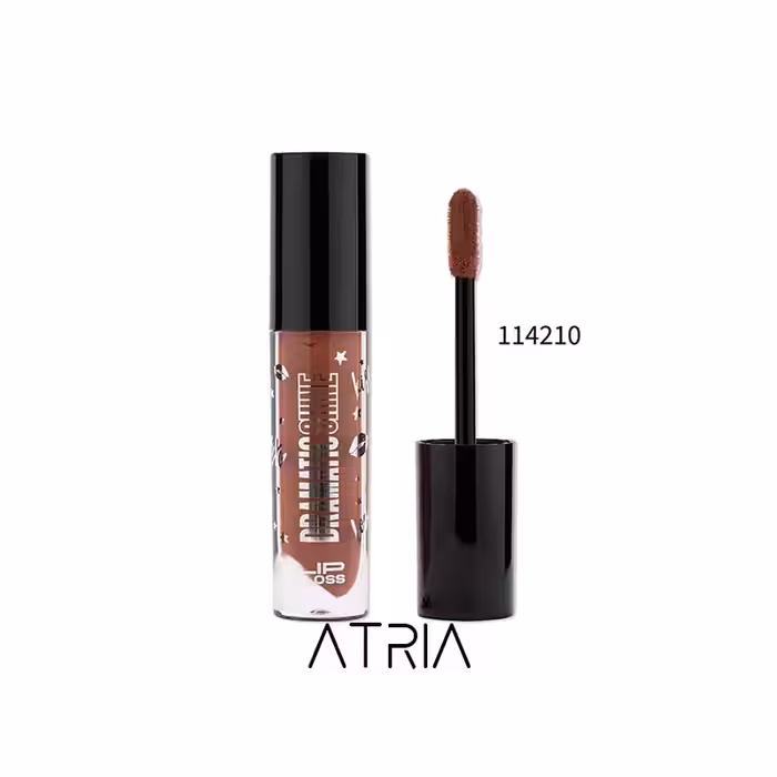 رژ لب مایع دراماتیک شاین ایزابل دپونت شماره 210 | isabelle dupont Dramatic Shine - فروشگاه اینترنتی آتریا