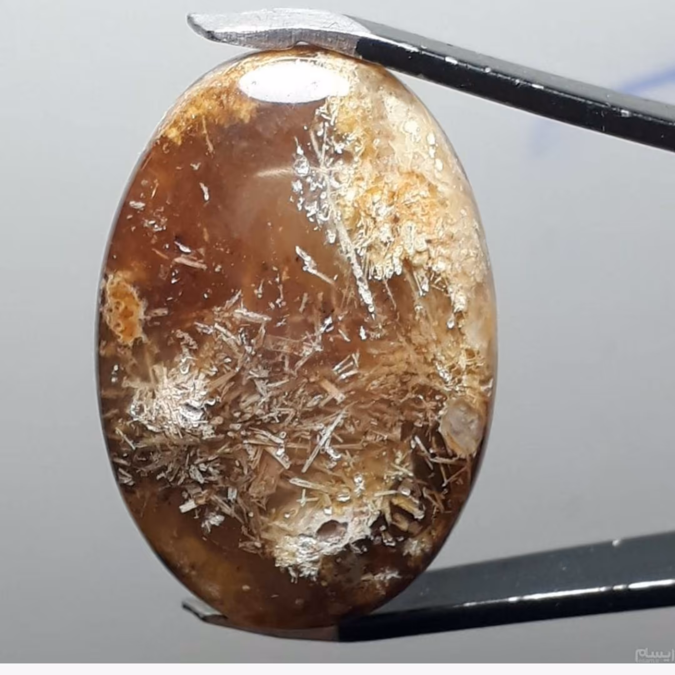 نگین شجر سوزنی