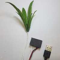 تصفیه هوای USB مدل برگی 