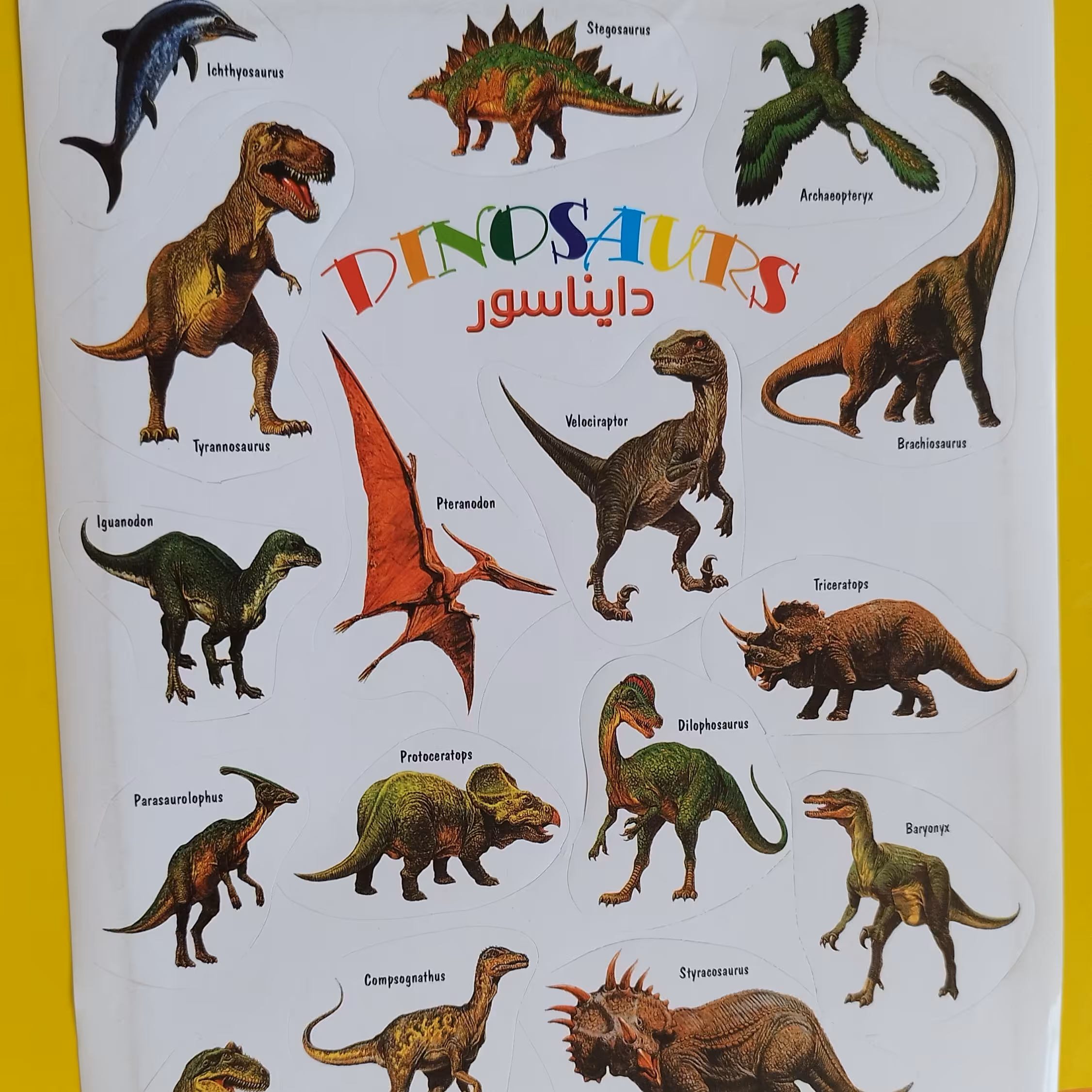 برچسب آموزشی ساده دایناسور ها به صورت زبان انگلیسی و فارسی هجده تکه 